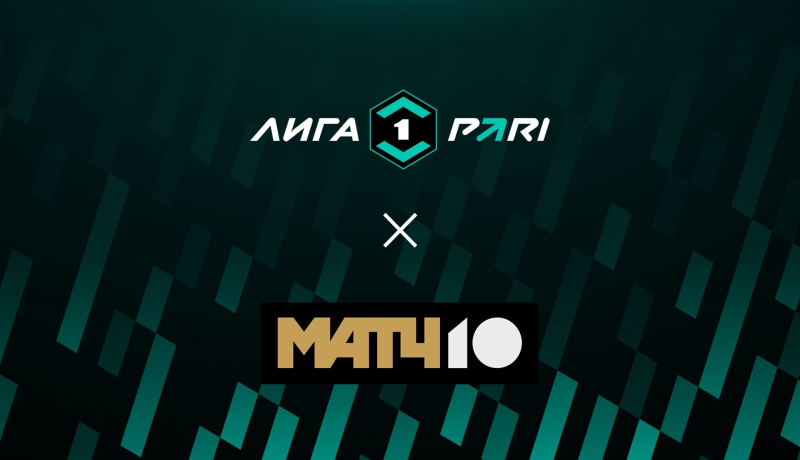 Чайка &mdash; Родина